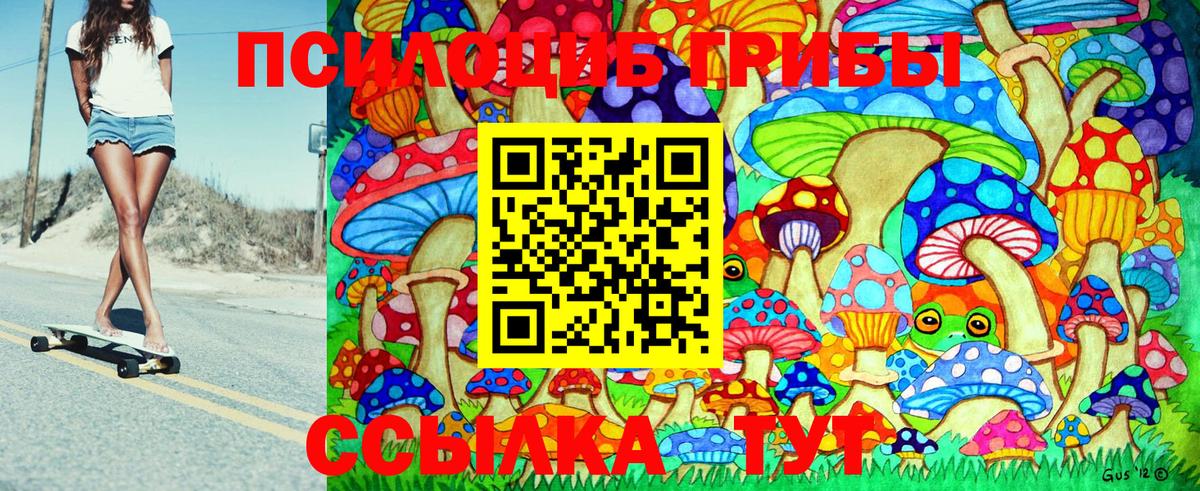 Псилоцибиновые грибы Psilocybine cubensis  Вход с VPN  Мурманск 
